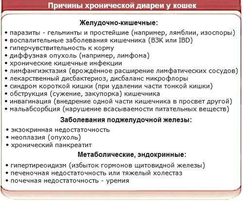 чи можна вилікувати хронічний пронос