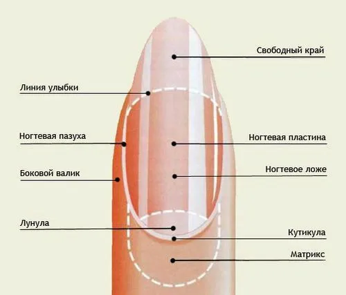 як лікувати псоріаз нігтів