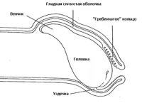як лікувати баланопостит у дітей