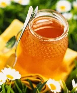 Лікування печінки медом лікувати печінку медом