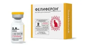 мастит у кішки