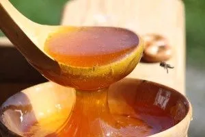 Лікування печінки медом лікувати печінку медом