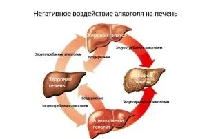 як лікувати печінку після алкоголю