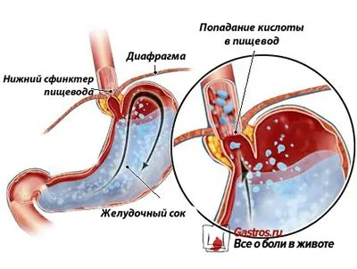 кошти