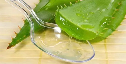 лікувати геморой алое