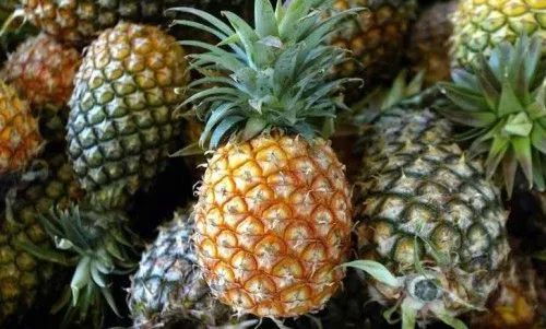 як почистити легені після багаторічна куріння курець домашні умови очистити народні засоби очищення відмова бронхи відновлення швидко відновлюються чи через скільки можна тривалий