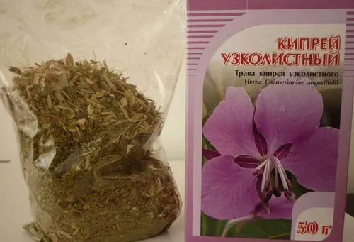 Лікувальні трави від мігрені мігрень