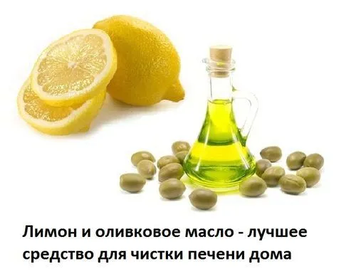 шипшина