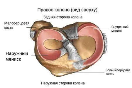 травма коліна види суглоб симптоми падіння пошкодження лікування фігуристи