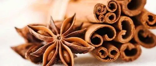 Ліпома нирки - що це таке? як лікувати ліпому нирки