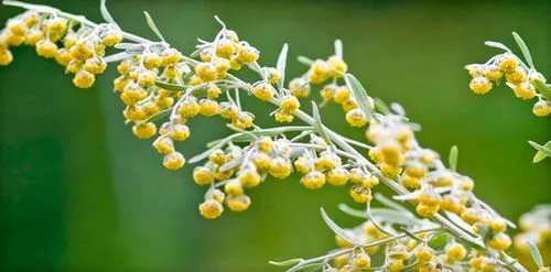 як лікувати коли вуха стріляють