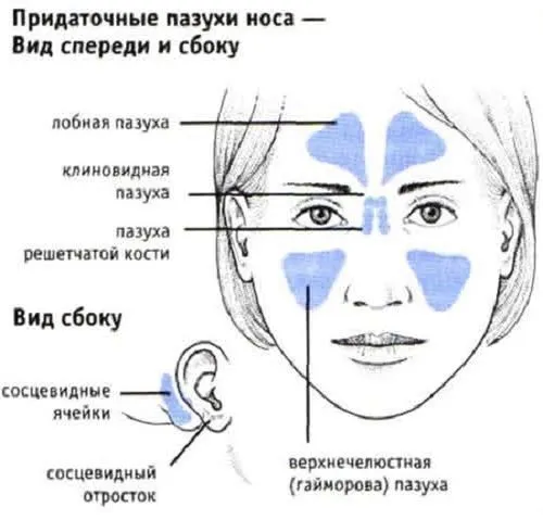 хронічний нежить чим небезпечний