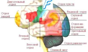 лікуватися чи інсульт