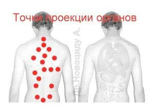 лікувати печінку п'явками