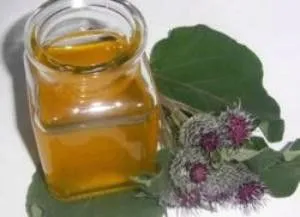 чи лікує корінь лопуха остеохондроз