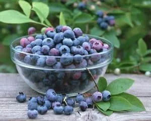 вилікувати короткозорість народними засобами