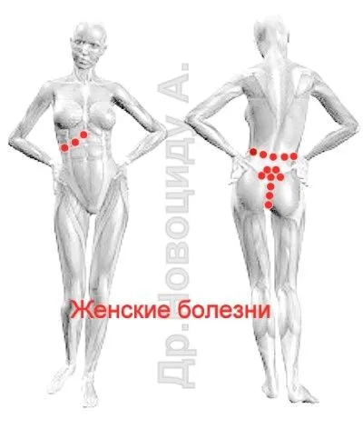 лікувати печінку п'явками