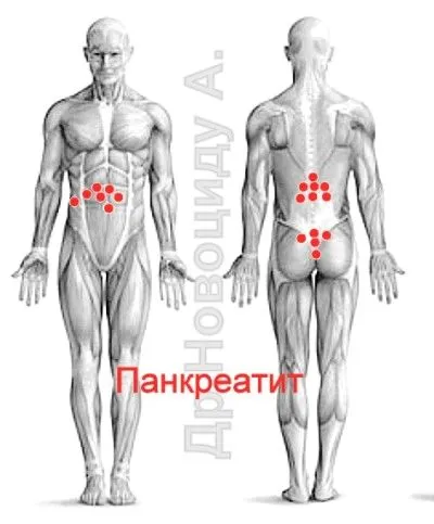 лікувати печінку п'явками