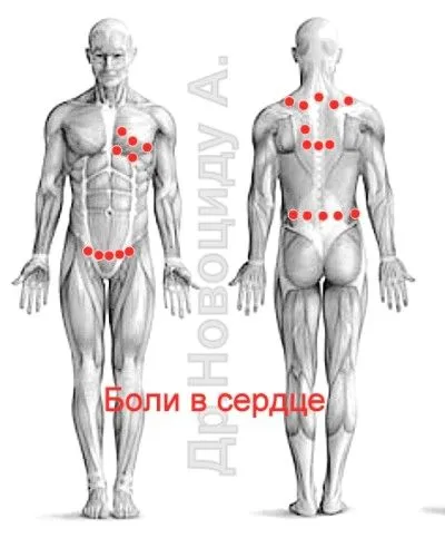 лікувати печінку п'явками