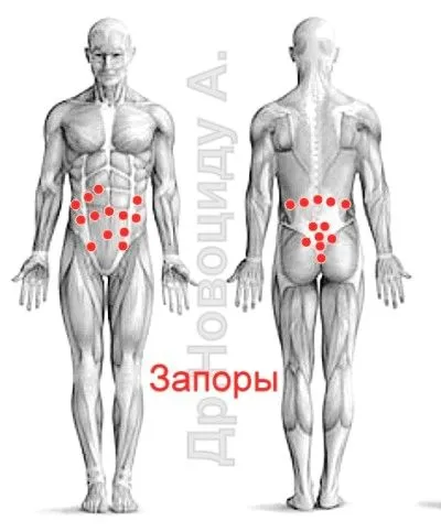 лікувати печінку п'явками