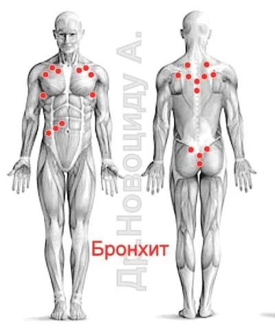 лікувати печінку п'явками