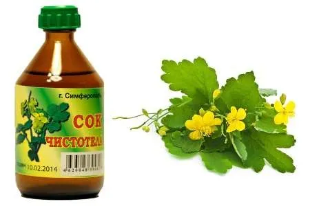 Чистотіл при онкології як лікувати рак легенів чистотілом