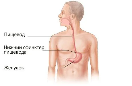 медицина