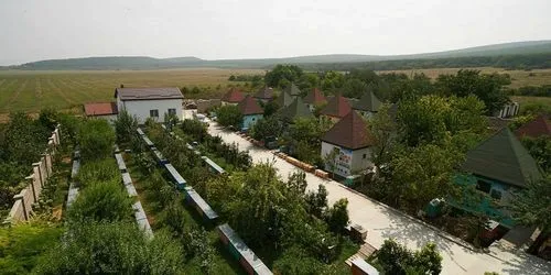 як лікувати рак шийки матки народними засобами