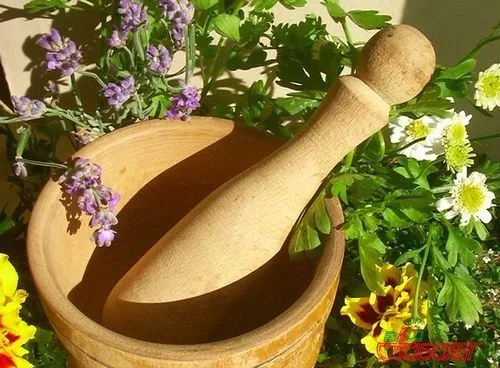 Лікування раку нирки народними засобами лікувати рак нирки народними засобами