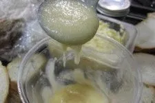 собака жир кашель застосування