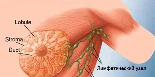 як лікувати лімфовузли під пахвами