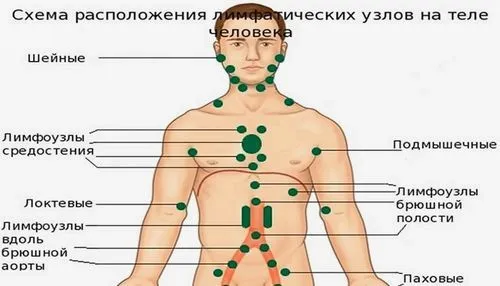 як лікувати лімфовузли під пахвами