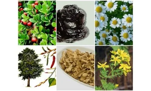 як лікувати сечовий міхур у жінок