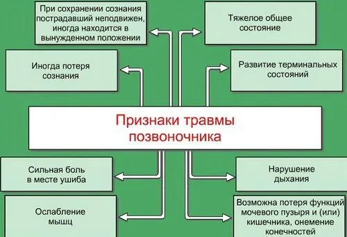 забій хребта