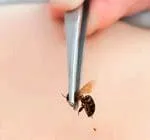 відгуки