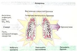 2 ступінь лікування бронхіальної астми