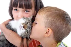 лікувати вітрянку в домашніх умовах