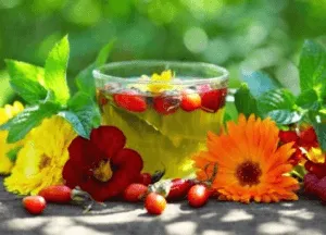 як лікувати глисти у людини