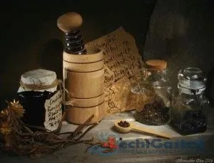 як лікувати шлунок настоянкою прополісу