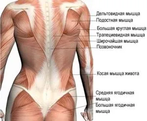 як лікувати запалення спини