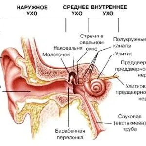як лікувати перфоративного отит
