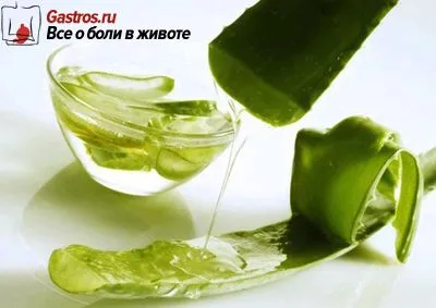 Користь алое вера для шлунка шлунок