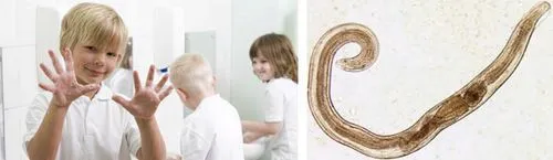 рецепти