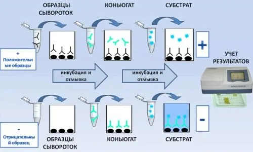 як лікувати уреаплазму у жінок