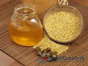 як лікувати шлунок настоянкою прополісу