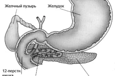 холецистит панкреатит лікування антибіотики трави симптоми ознаки