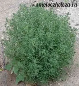 як лікувати рак молочної залози