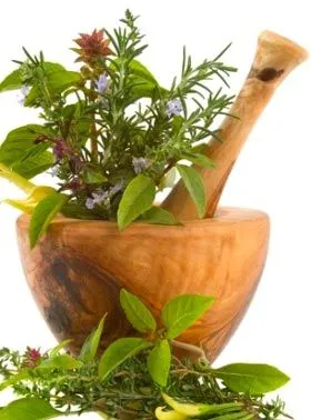 як лікувати жировик алое