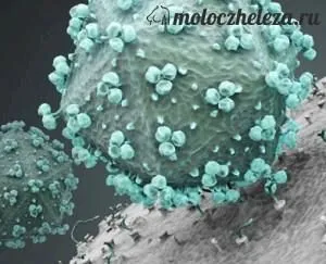 як лікувати рак молочної залози