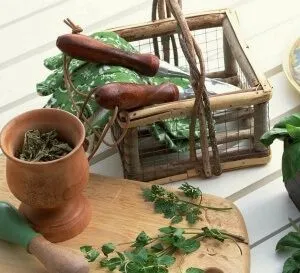 як лікувати Екстрасистолічна аритмію
